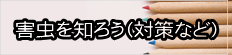 害虫を知ろう（対策など） 