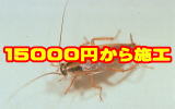 SLu쏜EǗ